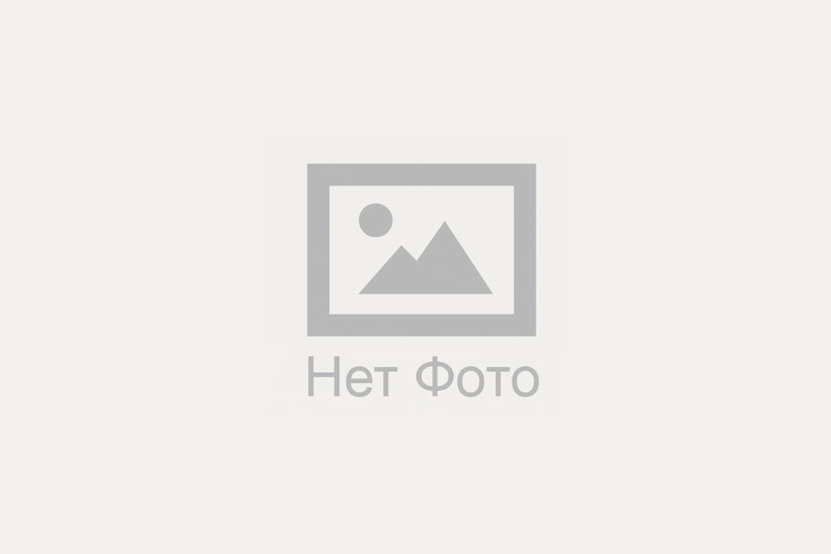 Лакатыш Алина Сергеевна.