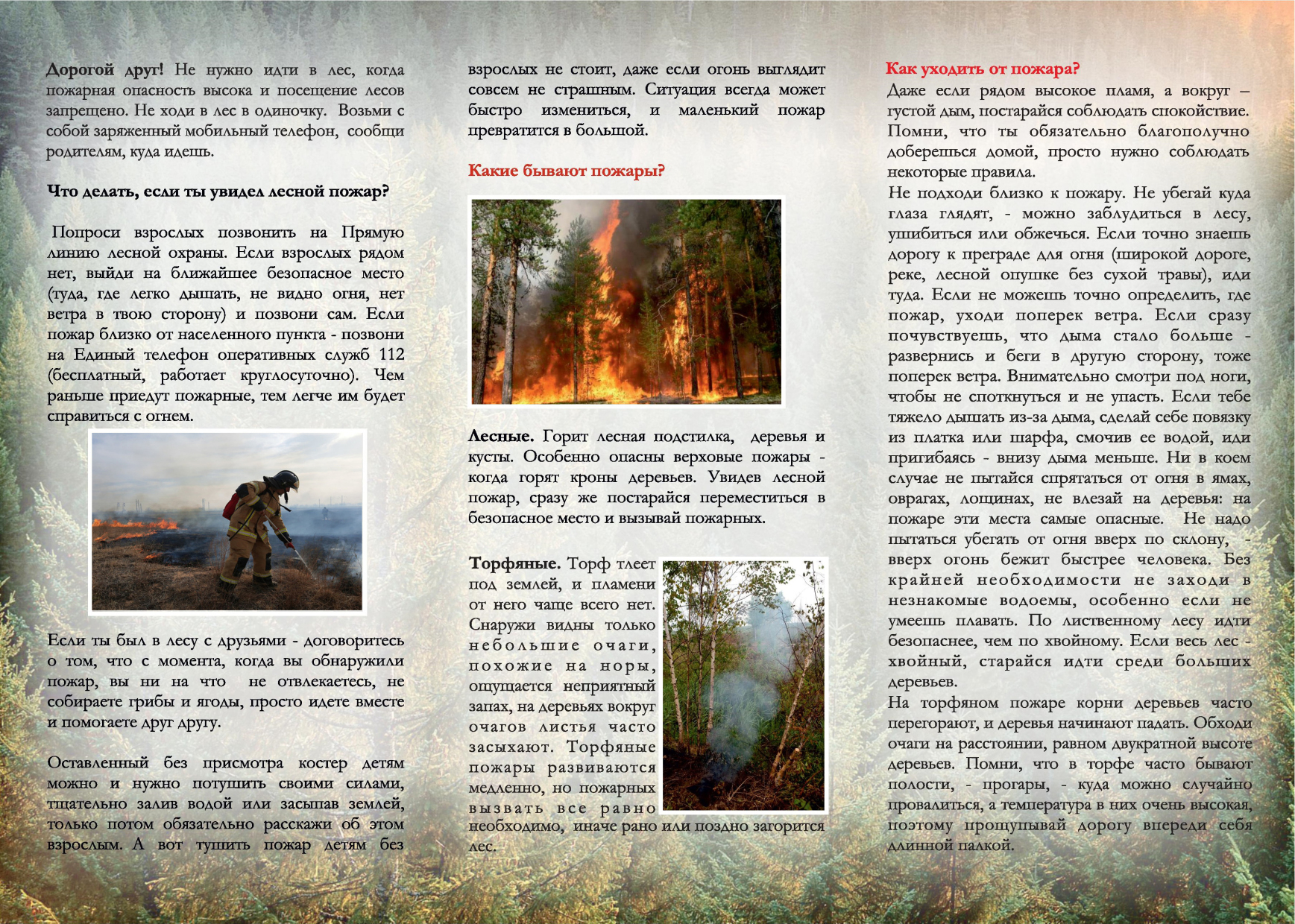 «Действия населения  по предотвращению лесных и ландшафтных пожаров».